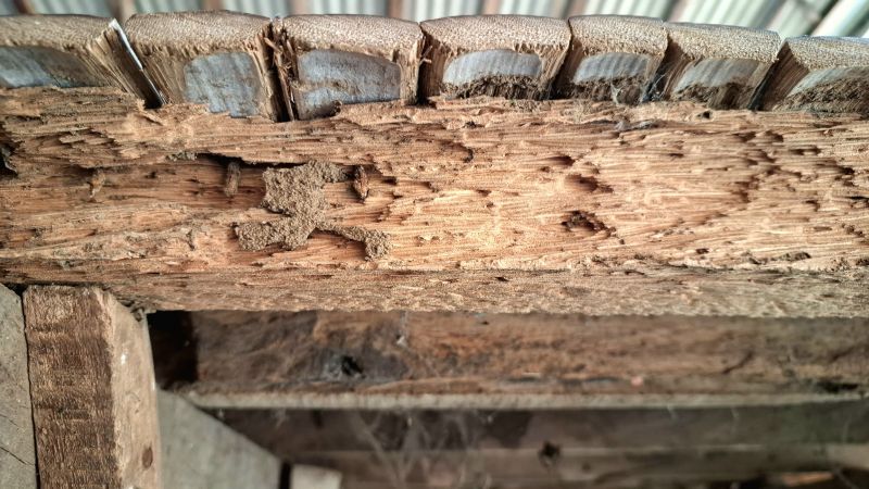 Wood Beam Repair
