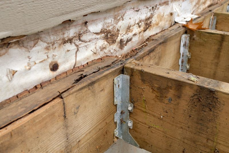 Wood Beam Repair