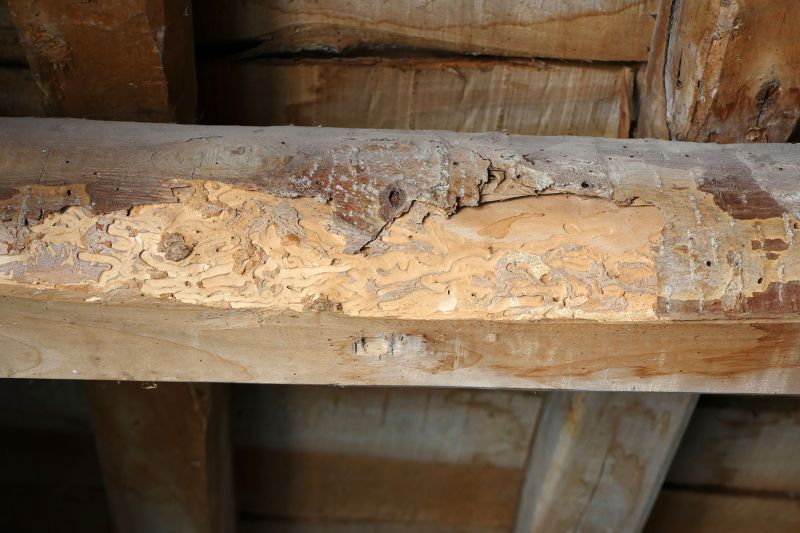 Wood Beam Repair